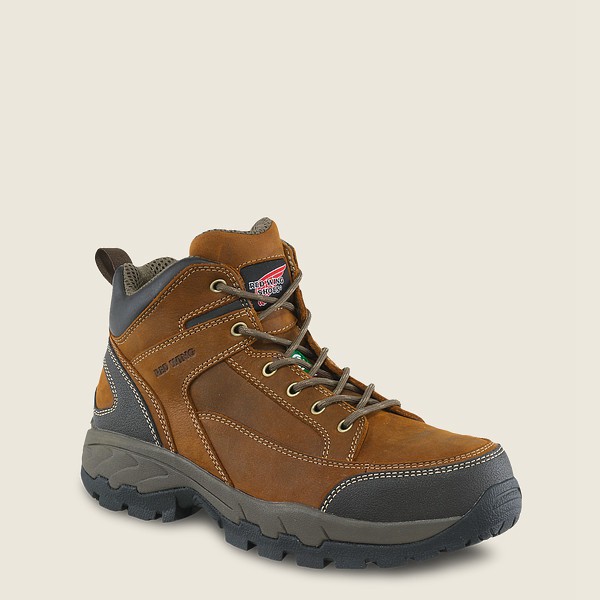 Bottes de Randonnée Red Wing - Truhiker - 5-Inch Csa Safety Toe - Marron - Homme 462UWTMZR